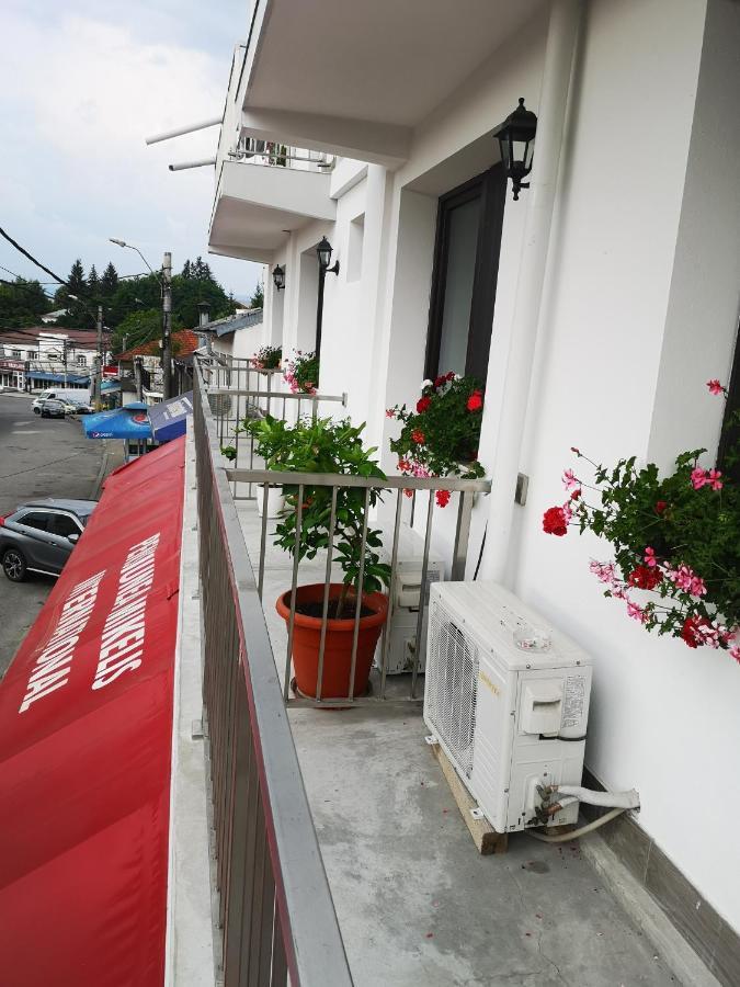 Pensiunea Mikelis International Hotel Curtea de Argeş Eksteriør billede
