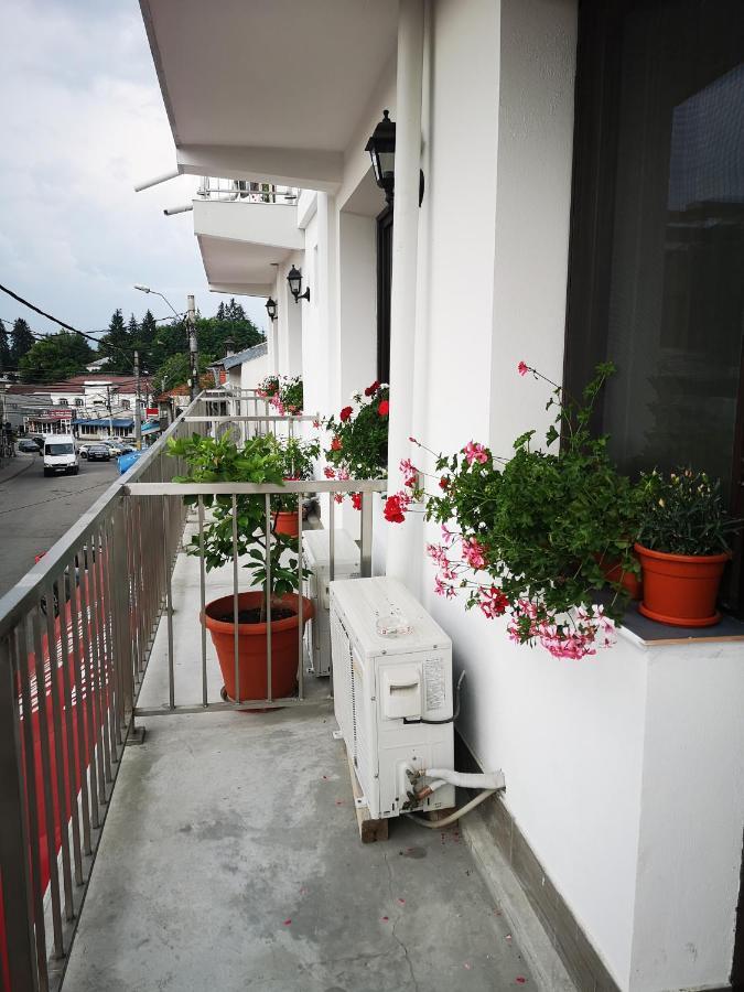 Pensiunea Mikelis International Hotel Curtea de Argeş Eksteriør billede